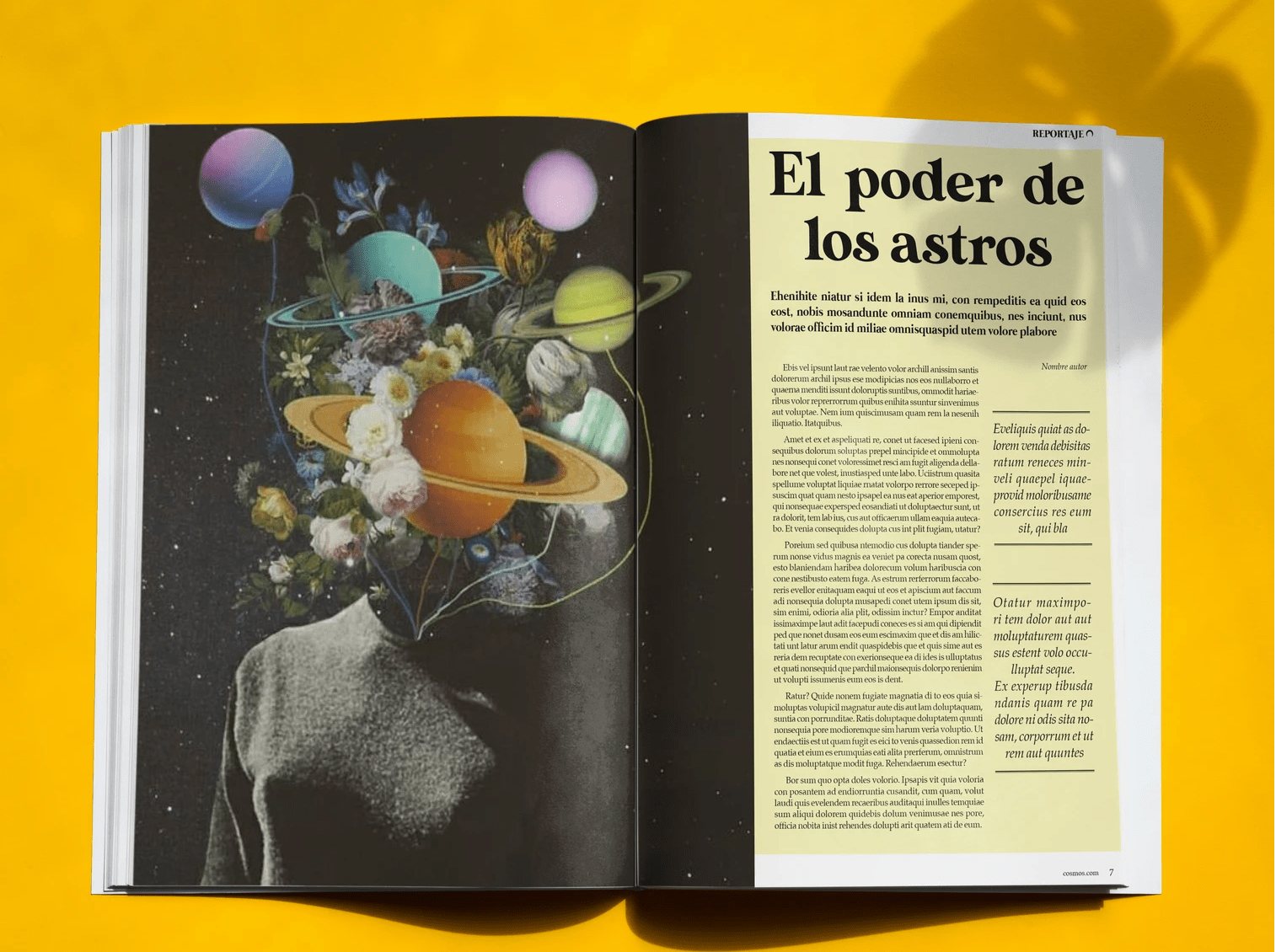 revista cosmos int2